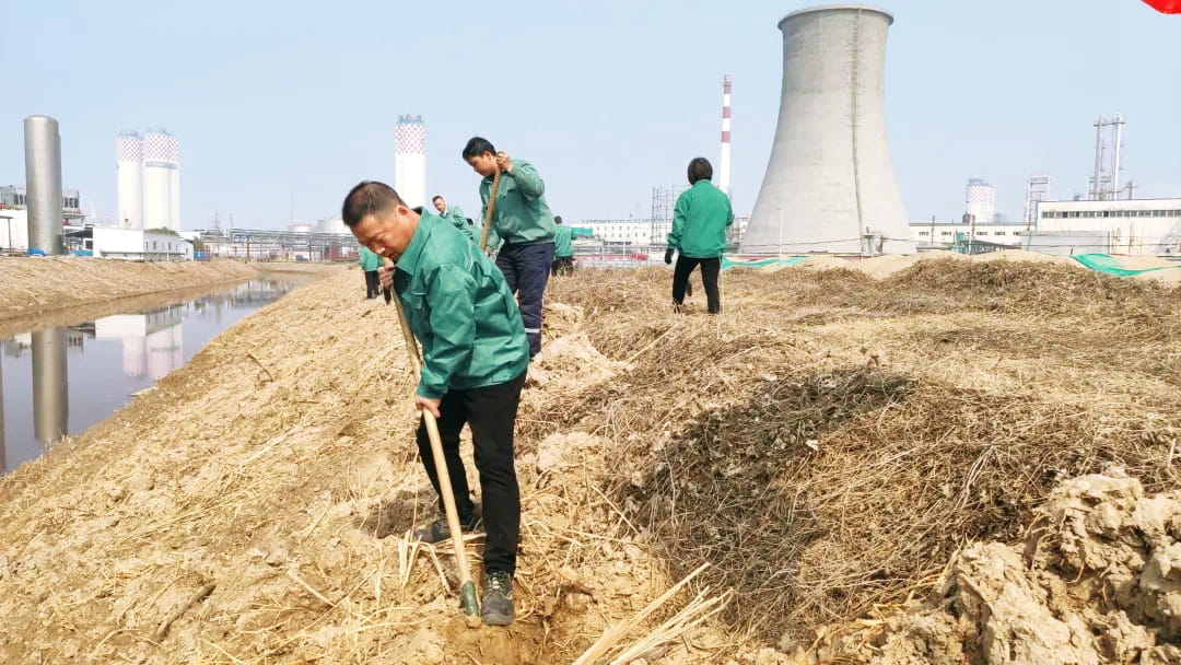 義務(wù)勞動(dòng)